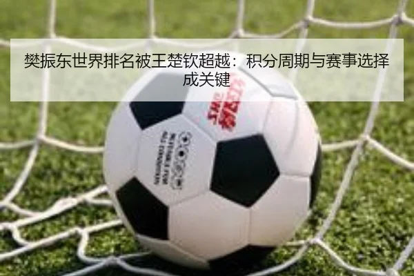 樊振东世界排名被王楚钦超越：积分周期与赛事选择成关键